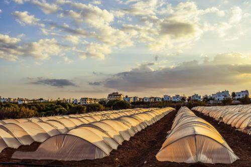 農業與互聯網的相互滲透,一場改變正在席卷全國 農業與互聯網的相互滲透,一場改變正在席卷全國